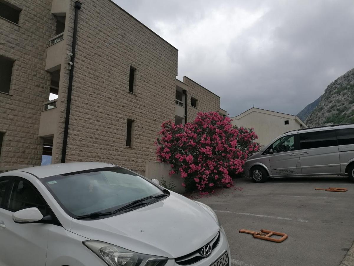 Villa Milla Kotor Eksteriør billede